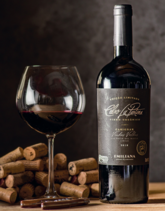 20100150-Cat-logo-Vinhos-LP-COMPLETO-2-comprimido-pdf.png