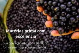 Subcabe-alho.png